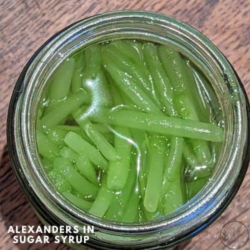 Candied Alexanders